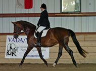 Chocolat Show Trot